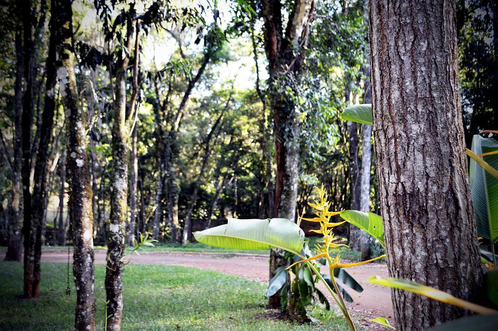 Cabanas Las Termas Villa Obera Luaran gambar